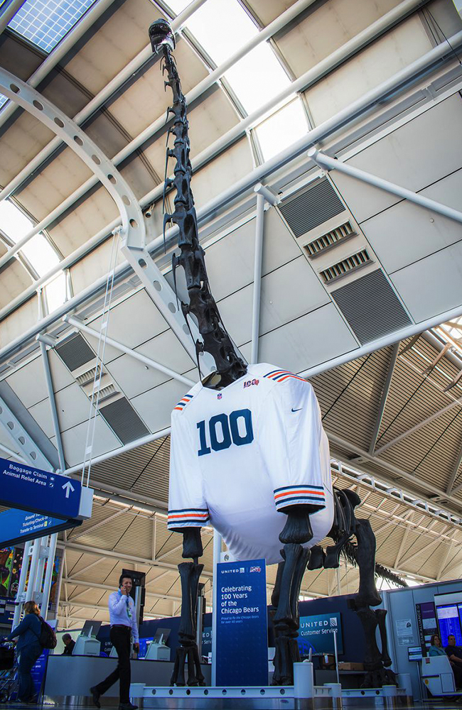 Bears100_CasePage_RotatingWork